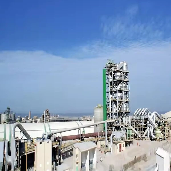 large cement plant 3